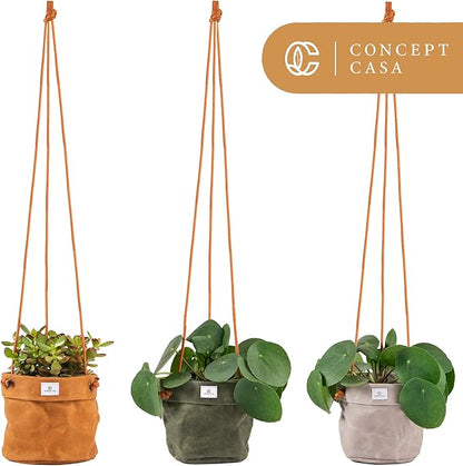 Waxed Canvas Handmade Hanging Planter for Indoor/Outdoor Plants, Hanging Basket Plant Holder Dijon Yellow with Hook