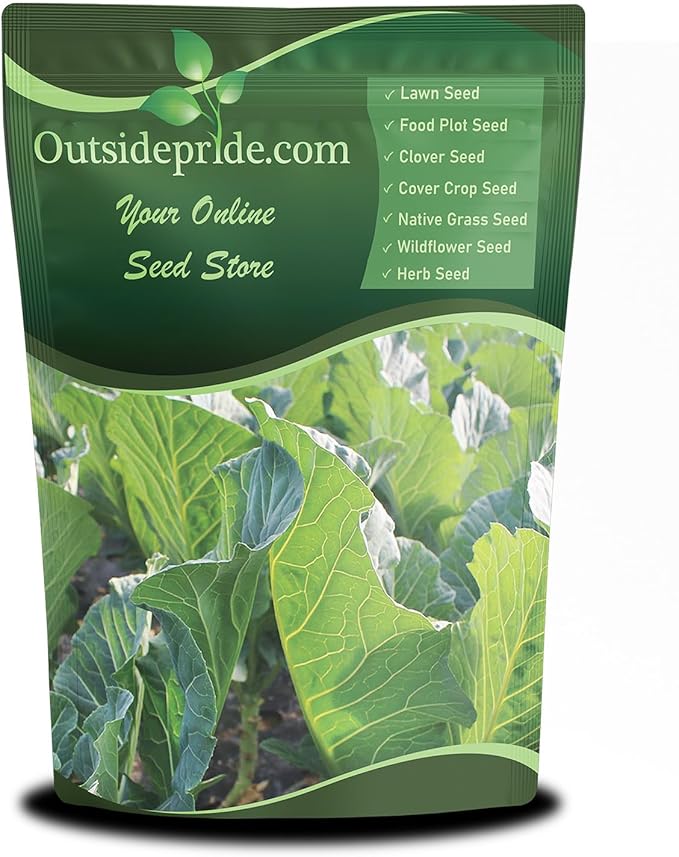 Outsidepride Bayou Kale Seeds - 5 lb. Annual, Versatile & Cold-Tolerant, Cover Crop Seeds for Planting Large, Resilient Foliage for Livestock Grazing, Erosion Control & Easy Growth