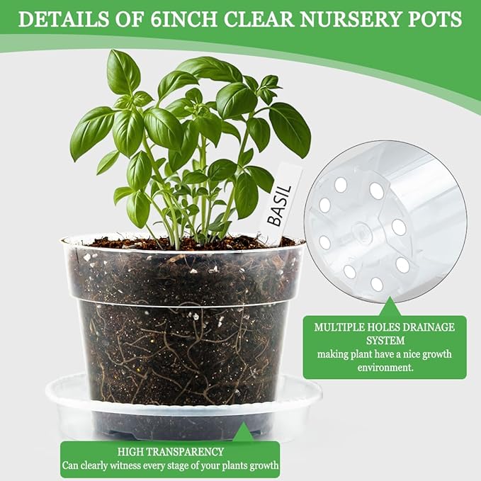 BTPLASTIK Clear Plastic Nursery Pots for Plants, 6 Inch Transparent Plant Pot with Drainage Holes, Flower Pots with Saucers, Seed Starter Pots with 15 Pcs Plant Labels, Gardening Gifts