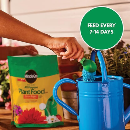 Miracle-Gro Water Soluble All Purpose Plant Food - Fertilizer For All Indoor or Outdoor Plants including Roses, Flowers, Vegetables, Houseplants, Trees, and Shrubs, 5.5 lb. Bag