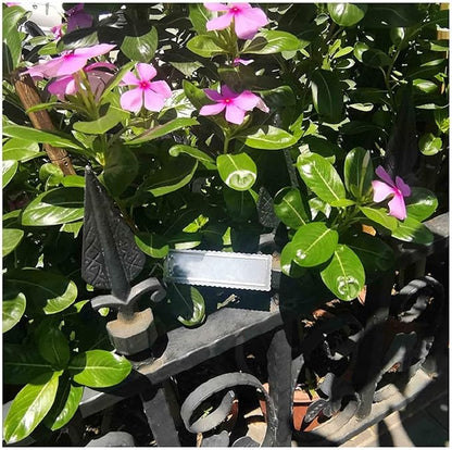 100 Pieces Aluminum Plant Label Tree Tags Flower Pot Waterproof Marker with Metal Wires for Indoor Outdoor Gardening Nursery, Greenhouses (Small, Wavy Edge)
