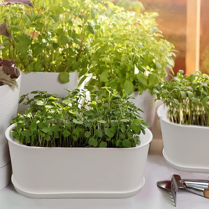 10-Pack White Herb Planter Box with Drip Trays, 8.5 Inch Small Oval Window Planters for Kitchen Sill, Indoor Outdoor, Perfect for Basil, Mint, Succulents, Flowers