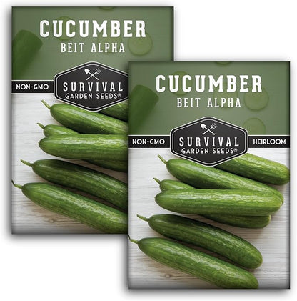 Beit Alpha Cucumber Seeds for Planting | Crisp Burpless Variety with Smooth Skin – Heirloom, Non‑GMO – Survival Garden Seeds (2 Packs)