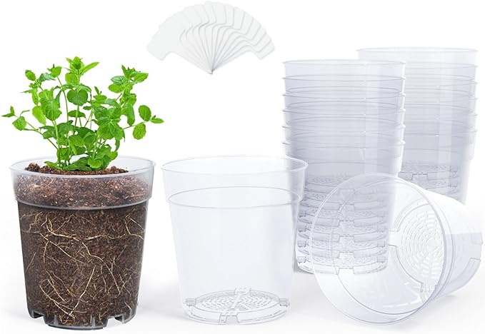 homenote Clear Nursery Pots for Plants,6.7 Inch Plant Pot for Planting Plastic Seedling with Drainage Holes Seed Starter Flower High Transparency with 20 Labels (15 Pack)
