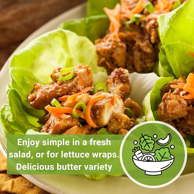 Sow Right Seeds - Buttercrunch Lettuce Seeds for Planting - Non-GMO Heirloom Packet with Instructions to Plant a Home Vegetable Garden - Outdoors or Hydroponics Indoors - Heat Tolerant Variety (2)