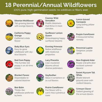 Eden Brothers Rhode Island Wildflower Mixed Seeds for Planting, 1/4 lb, 120,000+ Seeds with WallFlower, Sunflower | Attracts Pollinators, Plant in Spring or Fall, Zones