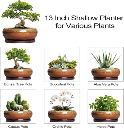 Bonsai Pots 13 Inch - Large Ceramic Succulent Planter for Indoor Outdoor, Round Shallow Planters with Drainage Hole and Saucer, Large Succulent Pots, Patio Decor, Garden Gifts, Retro Brown