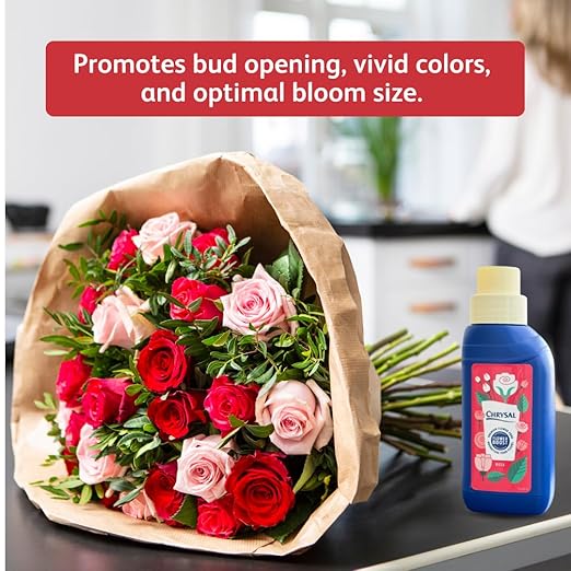 Chrysal Flower Boost Cut Flower Rose Food (10ml/L Bottle) — Floral Supplies for Fresh Flowers to Increases Vase Life — Flower Arrangements Supplies — Rose and Flower Care — Rose Care