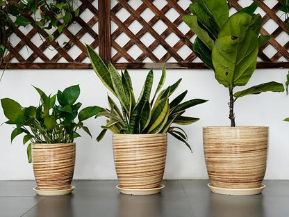8 Inch Plant Pot, Ceramic Planter with Drainage Hole and Saucer Large Flower Pot for Home Patio Garden Office, Yellow