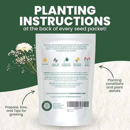 Baby’s Breath – 90,000 Seeds for Planting – 2026 Season – 4 Ounce Pouch