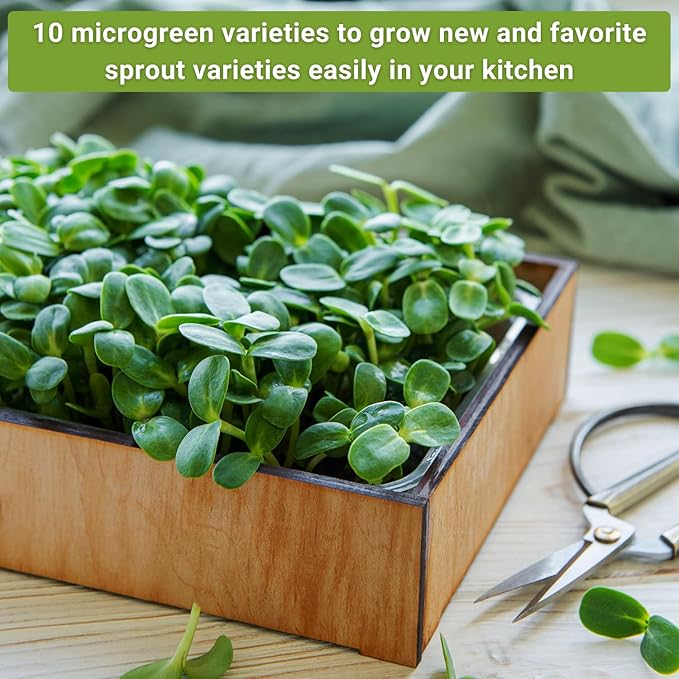 Sow Right Seeds - Large Microgreens Seed Collection - 10 Microgreen Variety Indoor Garden Packets with Superfood Seeds for Kitchen Counter Sprouting & Growing - Ideal for Indoor Gardening