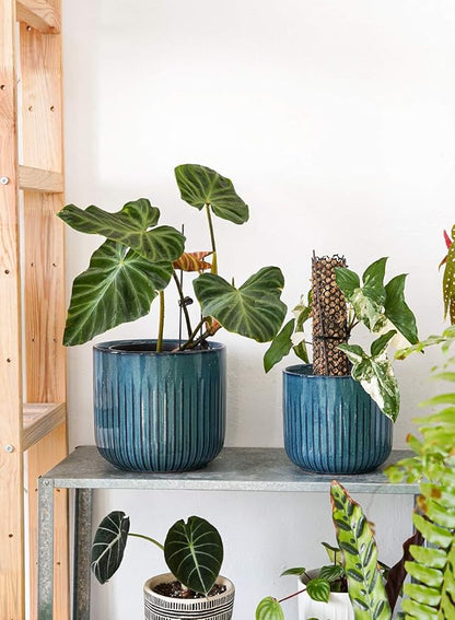 LE TAUCI Fluted Ceramic Plant Pots, 8.3/7/6 Inch Indoor Planters with Drainage Holes & Mesh, Modern Glossy Glaze Cylinder Flower Pot for Snake Plant, Set of 3, Harbor Blue