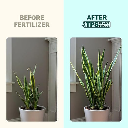 Snake Plant Fertilizer for Snake Plants and All Sansevieria, 8 oz (250mL)