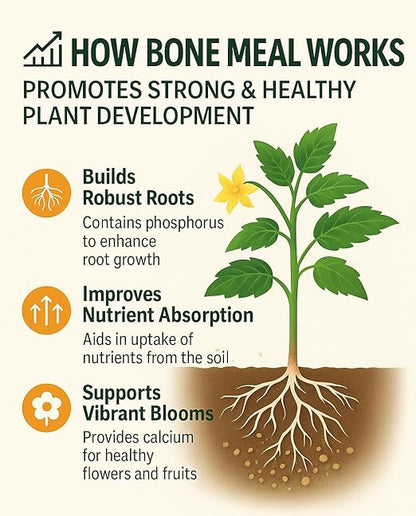 𝐁𝐄𝐒𝐓𝐒𝐄𝐋𝐋𝐄𝐑 Organic Bone Meal Fertilizer by Gardenera (4-12-0 NPK) All-Natural Plant Food Source of Nitrogen and Phosphorus for Bulbs, Gardens, Potted Plants, Trees, and Shrubs - 2 QUARTS