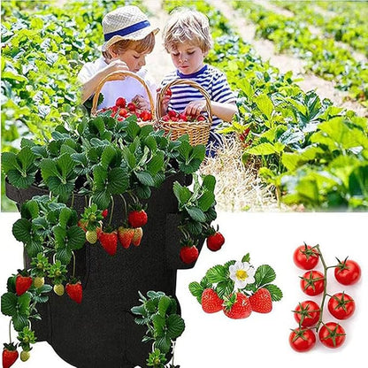 Ulalaza 5PCS Potato Grow Bags with Flap Plant Grow Bags Fabric Multi Ribbon Potato Bag Tomato Vegetable Growth Non-Woven Felt Planting Bag Transparent
