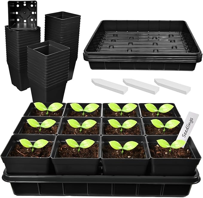 June Fox 60 Pcs Square Nursery Pots for Plants, 5 Pcs Seed Starter Tray Kit, 3.3 Inch Small Seedling Pots with Drain Holes, 60 Plant Labels (Black)