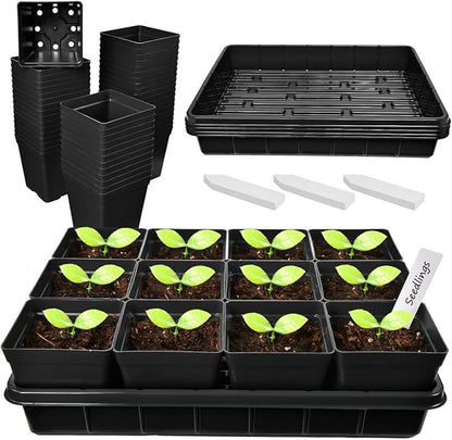 June Fox 60 Pcs Square Nursery Pots for Plants, 5 Pcs Seed Starter Tray Kit, 3.3 Inch Small Seedling Pots with Drain Holes, 60 Plant Labels (Black)