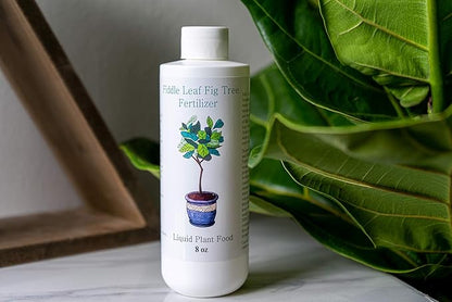 Fiddle Leaf Fig Tree Fertilizer | Ficus Plant Food | Improves Leaves and Branches | Potted Indoor Trees and House Plants Treatment by Aquatic Arts