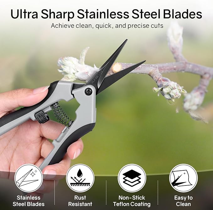 6.5" Ultra Sharp Pruning Shears - Professional Garden Scissors with Curved Stainless Steel Blades, Ergonomic Handle, Rust Resistant, Safety Lock, Trimming Scissors for Plants in Grow Tents,1-Pack
