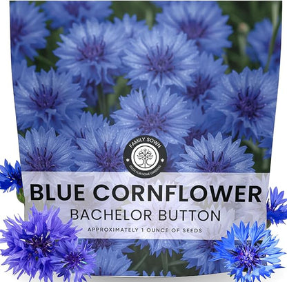 Blue Cornflower – 4,000 Seeds for Planting – 2026 Season – 1 Ounce Pouch