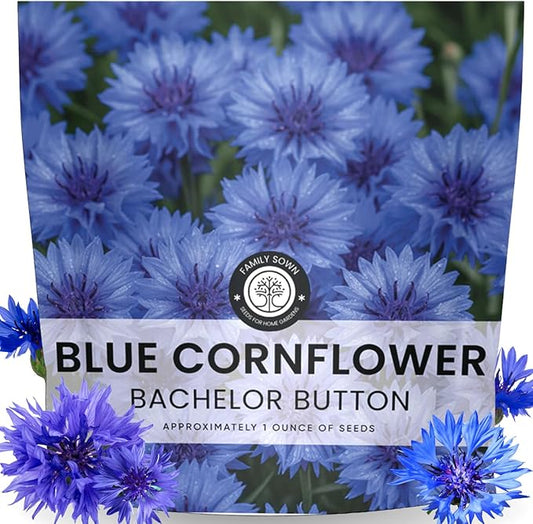 Blue Cornflower – 4,000 Seeds for Planting – 2026 Season – 1 Ounce Pouch