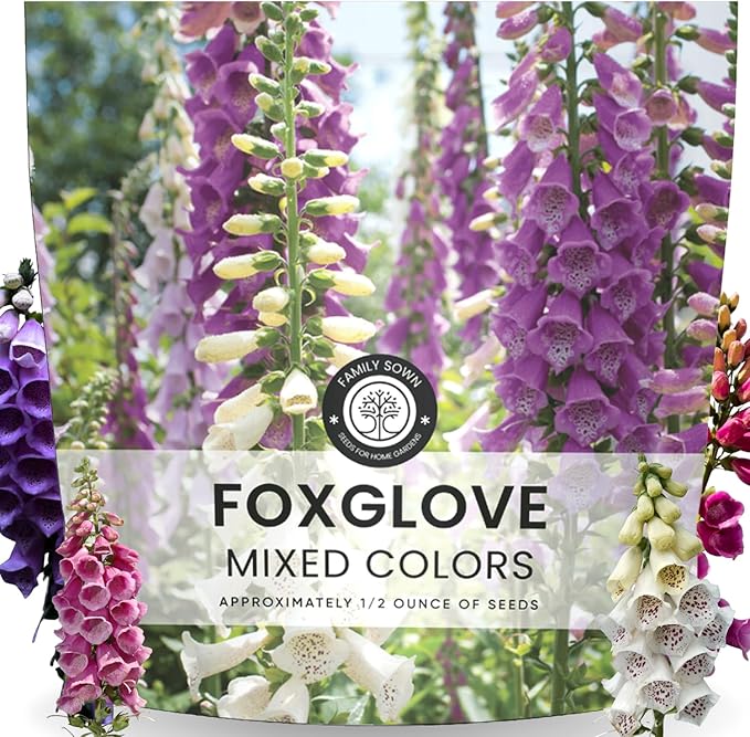 Foxglove Mixed Colors – 2,000 Seeds for Planting – 2026 Season – 1/2 Ounce Pouch