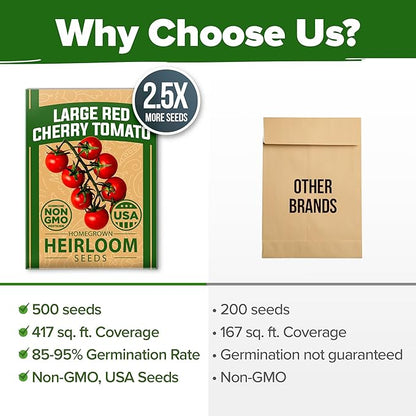 HOME GROWN Large Red Cherry Tomato Seeds Pack 500 High Germination Heirloom Seeds Vegetable Seeds for Garden,Homestead & Self-Sufficient Growing(Solanum lycopersicum)