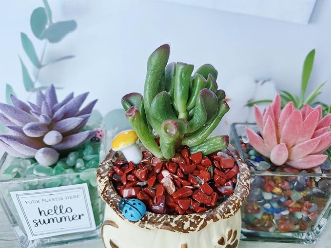 ZHIYUXI Red Jasper Crystal Chips Fish Tank Gravel Vase Filler Stones Crushed Crystals Gemstone Polished Healing Crystals Natural Quartz Stone 0.44lbs