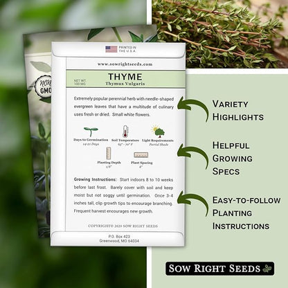 Sow Right Seeds - Thyme Seed for Planting - Non-GMO Heirloom Packet with Instructions for Easy Planting Your Kitchen Herb Garden - Indoor or Outdoor - Great for Hydroponics Growing - Culinary Herb (1)