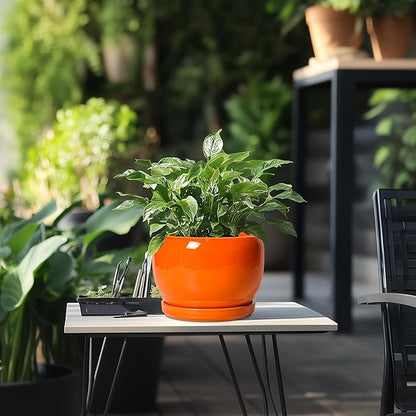 SQOWL Ceramic Pot for Plants - 8 Inch Plant Pot Indoor Outdoor, Modern Round Planter with Drainage Hole and Saucer, Decorative Planter for Flower, Office Decor, Garden Gifts for Women, Orange
