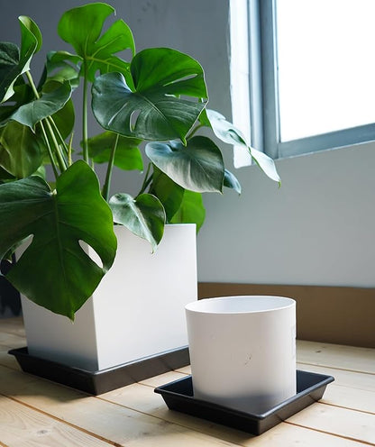 Square Plant Saucer 10 Inch 2 Pack 6 8 10 12 14 16 18 20 Inch, Plant Trays for Pots Heavy Duty Plastic Plant Saucers for Indoors Outdoors, Flower Pot No Holes Plant Drip Trays