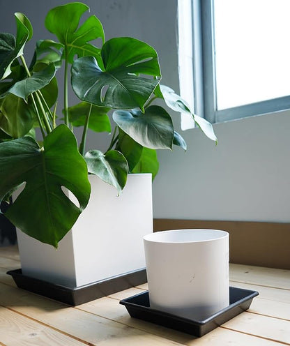 Square Plant Saucer 12 Inch 2 Pack 6 8 10 12 14 16 18 20 Inch, Plant Trays for Pots Heavy Duty Plastic Plant Saucers for Indoors Outdoors, Flower Pot No Holes Plant Drip Trays