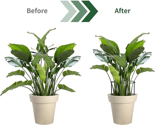 12 Pack Plant Support Stakes,4mm Thick Metal Peony Support,Plant Cage with Twist Ties and Plant Labels,15.7 Inch Plant Supports for Outdoor and Indoor Plants Peony,Tomato,Hydrangea,Rose,Vine