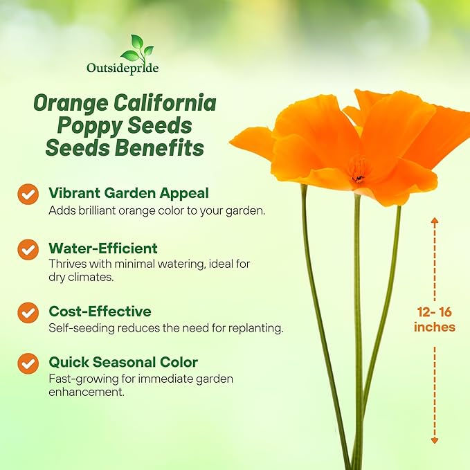 Outsidepride Eschscholzia Orange California Poppy Seeds - 1 lb. Annual, Native, Drought Tolerant Wildflower Seeds w/Vibrant Blooms for Full Sun & Drought-Tolerant Pollinator-Friendly Gardens