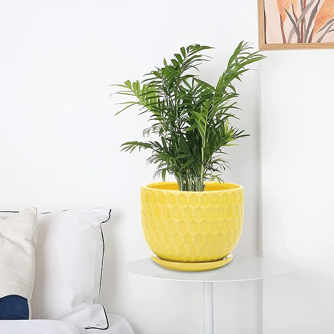 Yellow Ceramic Flower Pots with Saucers, Modern Round Ceramic Succulent Plant Pots with Honeycomb Inspired Texture Design, Small to Medium Sized, Set of 3