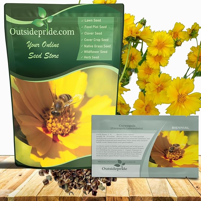 Outsidepride Lance-leaved Coreopsis Seeds - 1/4 lb. Perennial, Humidity & Drought Tolerant Flower Seeds for Planting Clumping Vibrant Golden Blooms, Ideal for Xeriscaping and Low Maintenance Gardens