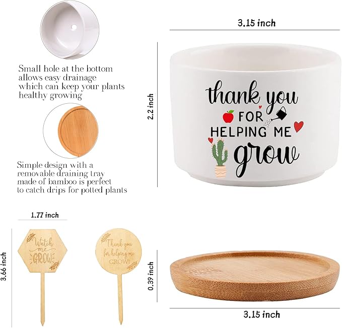 Teacher Appreciation Gifts for Women Bulk 6 Pieces Succulent Pots, 3.15 Inch Ceramic Small Plant Pots with Drainage and Bamboo Tray, Funny Christmas Birthday Retirement Thanksgiving Gifts for Teachers