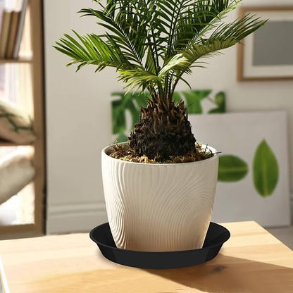 6 Pack Plant Saucer 4 6 8 10 12 14 16 18 20 22 Inch Plastic Plant Tray, Sturdy and Durable Flower Pot Container Accessories Plant Pot Saucers for Indoor and Outdoor (12 Inch, Black)