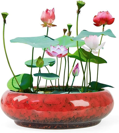 Lotus Bowl Planter - 7.3 Inch Large Lotus Flower Bowl for Water Plants, Ceramic Hydroponic Planter Water Lily Bowl for Planting Aquatic and Indoor Succulent Plants and Bonsai