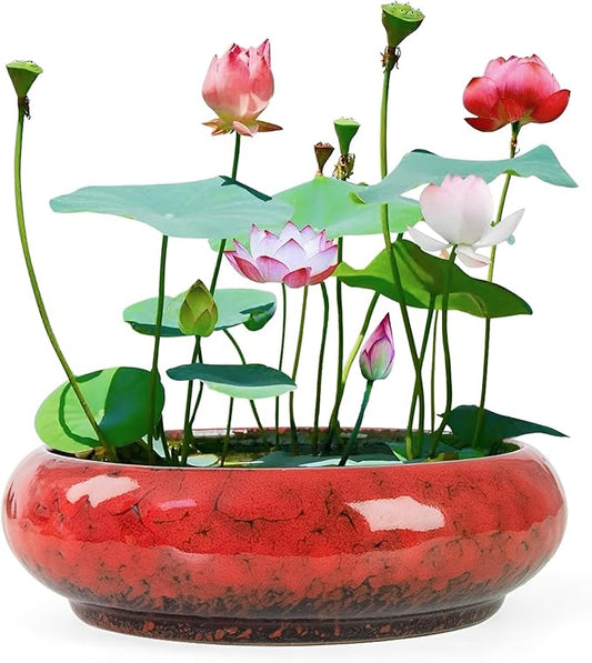 Lotus Bowl Planter - 7.3 Inch Large Lotus Flower Bowl for Water Plants, Ceramic Hydroponic Planter Water Lily Bowl for Planting Aquatic and Indoor Succulent Plants and Bonsai