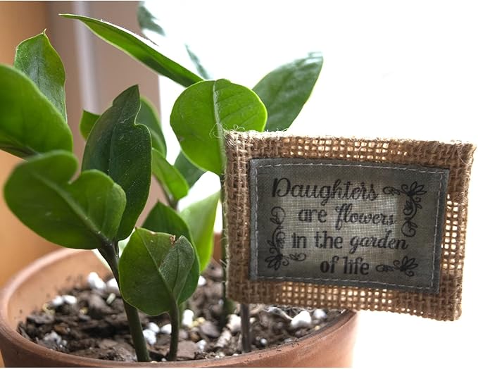 Cathedral Art Abbey & CA Gift Daughters Are Flowers Flag Flower Pick