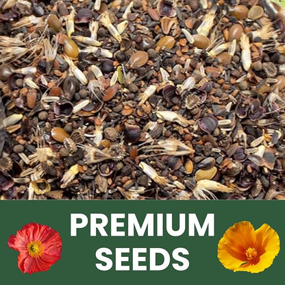 California Regional Mix – 19,000 Seeds for Planting – 2026 Season – 1 Ounce Pouch