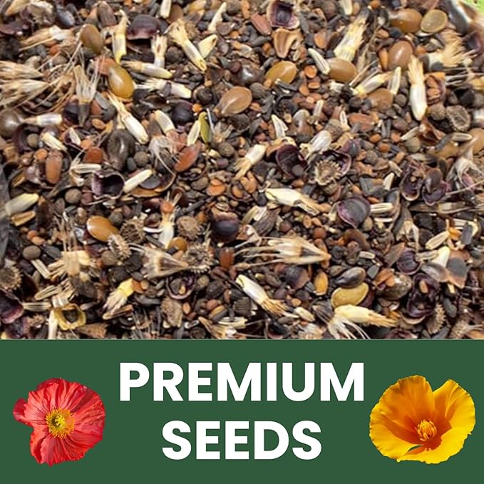 California Regional Mix – 3,500 Seeds for Planting – 2026 Season – 5 Gram Pouch