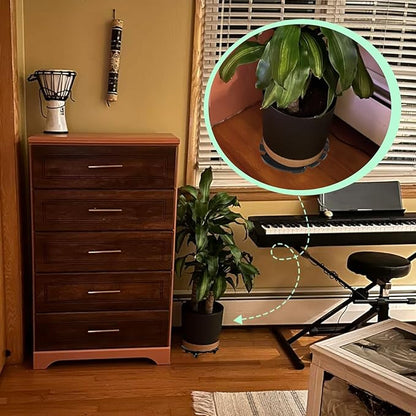 2 Pack Plant Stand with Wheels, Plant Caddies with 360° Lockable Smooth Sliding Wheels Durable Sturdy, Outdoor/Indoor Heavy Duty Rolling Plant Stand for Plant Pot,Flower Pot (Black 14")