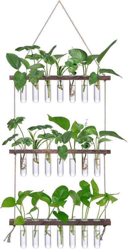 XXXFLOWER Wall Hanging Propagation Station with Wooden Stand 21 Glass Test Tubes 3 Tiers Planters Wall Terrarium for Home Office Plant Hanger Flower Vases Wall Decor Hydroponic Cuttings