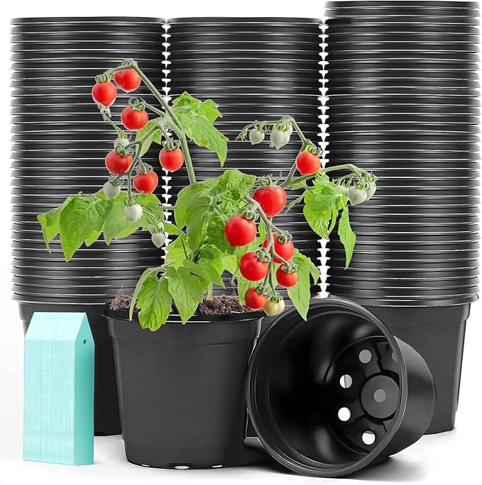 Sfee 100 Pack Plant Nursery Pots 4 inch Plastic Plant Pots, Durable Reusable Seed Starting Pots for Succulents Plants Vegetables Fruits Seedlings Cuttings Transplanting with 100 Plant Labels (Black)