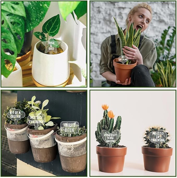 arricraft 15 Pcs T-Shaped Acrylic Plant Labels, Funny Phrases Jokes Waterproof Garden Stake Labels Transparent Funny Marker for Potted Plants Nursery Marker Decoration 4×2.68inch