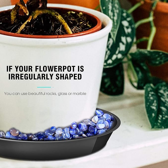 6 Pack Plant Saucer 4 6 8 10 12 14 16 18 20 22 Inch Plastic Plant Tray, Sturdy and Durable Flower Pot Container Accessories Plant Pot Saucers for Indoor and Outdoor (4 Inch, Black)