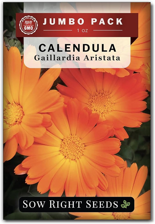 Sow Right Seeds - Bulk Ball’s Orange Calendula Seeds for Planting - 1 Ounce, 2800 Seeds - Non-GMO Heirloom Jumbo Pack with Instructions to Plant a Garden - Grow Loads of Orange Blooms for Pollinators