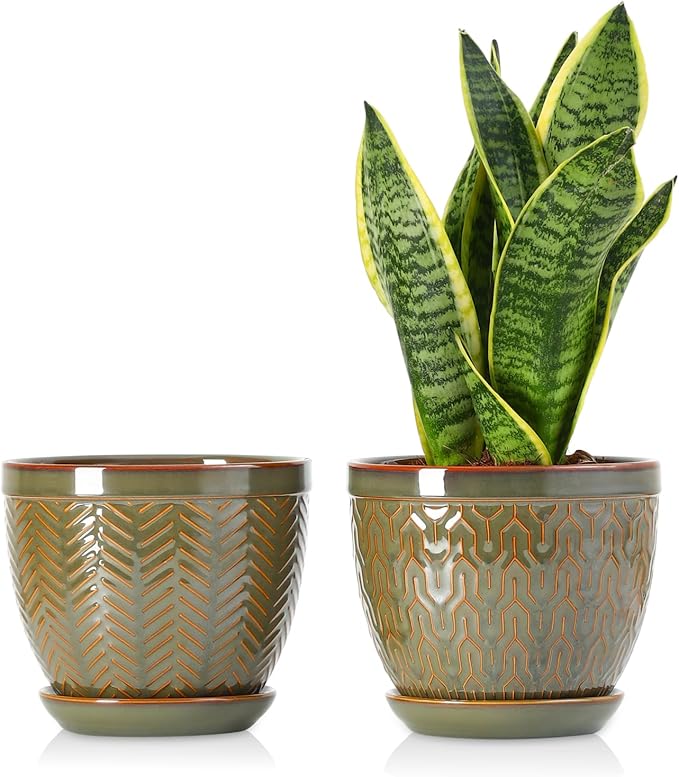Sureasy 6.5 Inch Ceramic Plant Pots, Embossed Decorative Planters with Drainage Hole and Saucer, Modern Flower Pots for Indoor Plants, Set of 2, Green